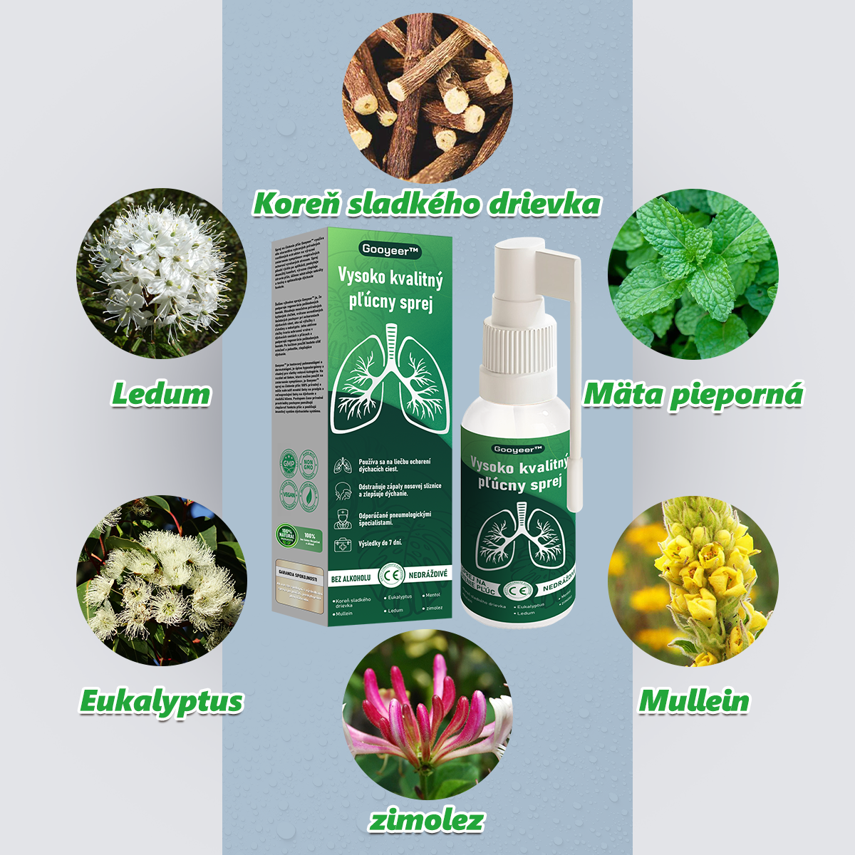 🌿𝐆𝐨𝐨𝐲𝐞𝐞𝐫™ Vysoko kvalitný pľúcny sprej -🧑⚕️ Podporuje zdravie pľúc, priedušiek a dutín, podporuje zdravie dýchacieho systému a ľahšie dýchanie